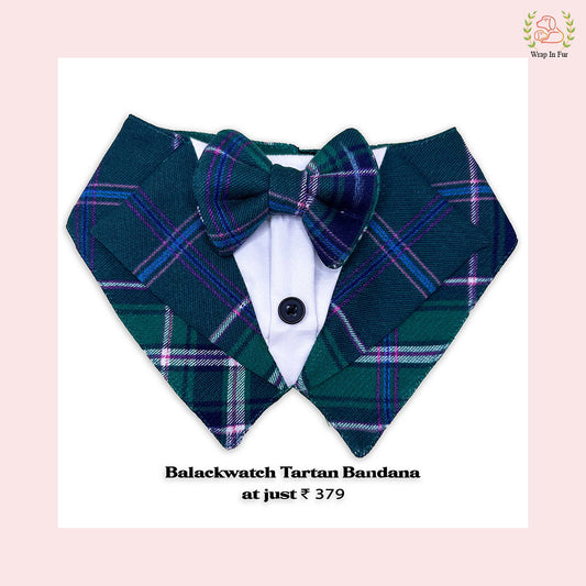 Blackwatch Tartan Tuxedo Style Dog Bandana - Festive Accessory
