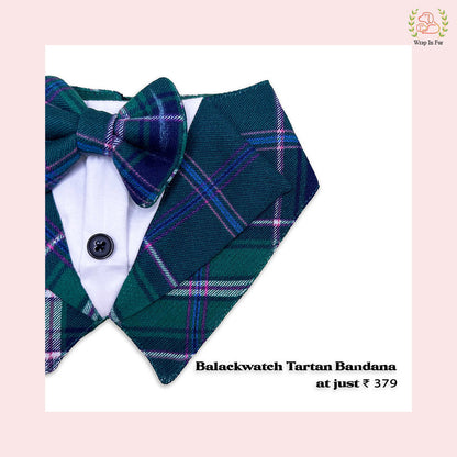 Blackwatch Tartan Tuxedo Style Dog Bandana - Festive Accessory