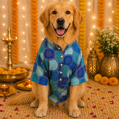 Blue Bandhani Zari Dog Kurta