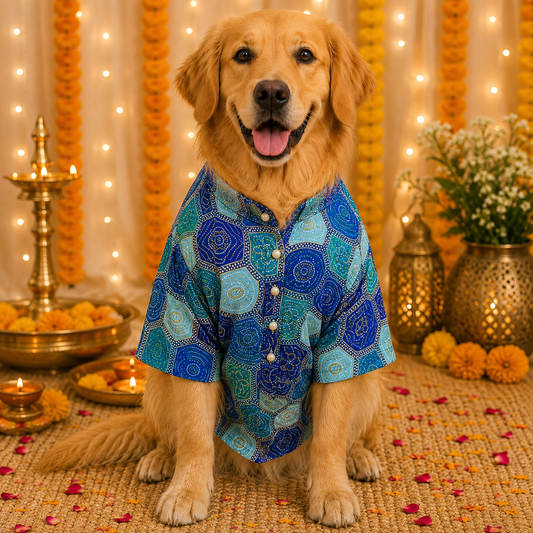 Blue Bandhani Zari Dog Kurta