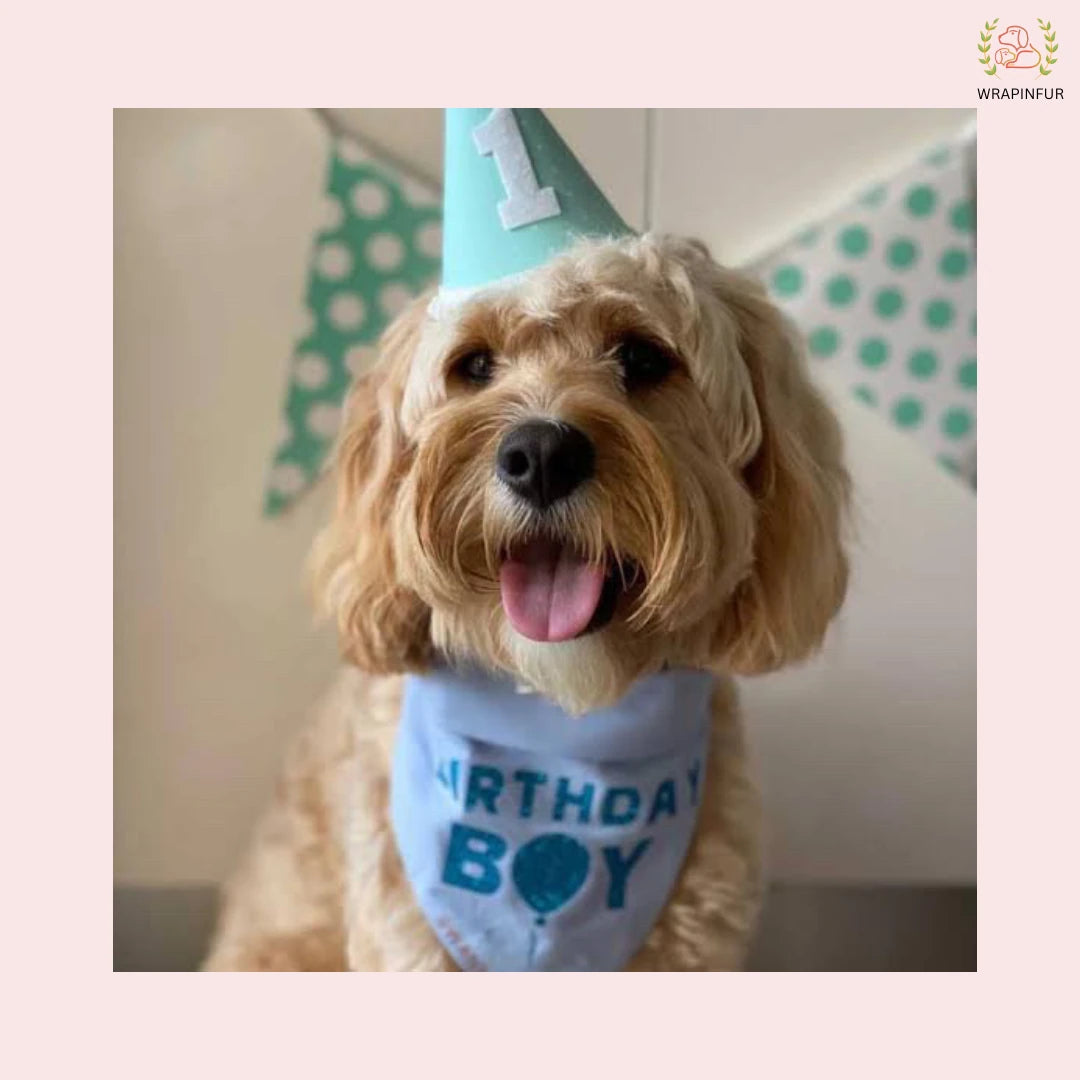 Blue Birthday Boy Bandana