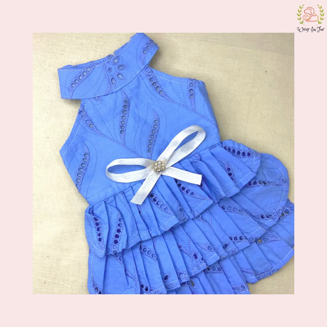 Blue Embroidery dog Frock
