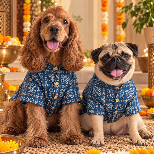 Blue Ethnic Dog Kurta