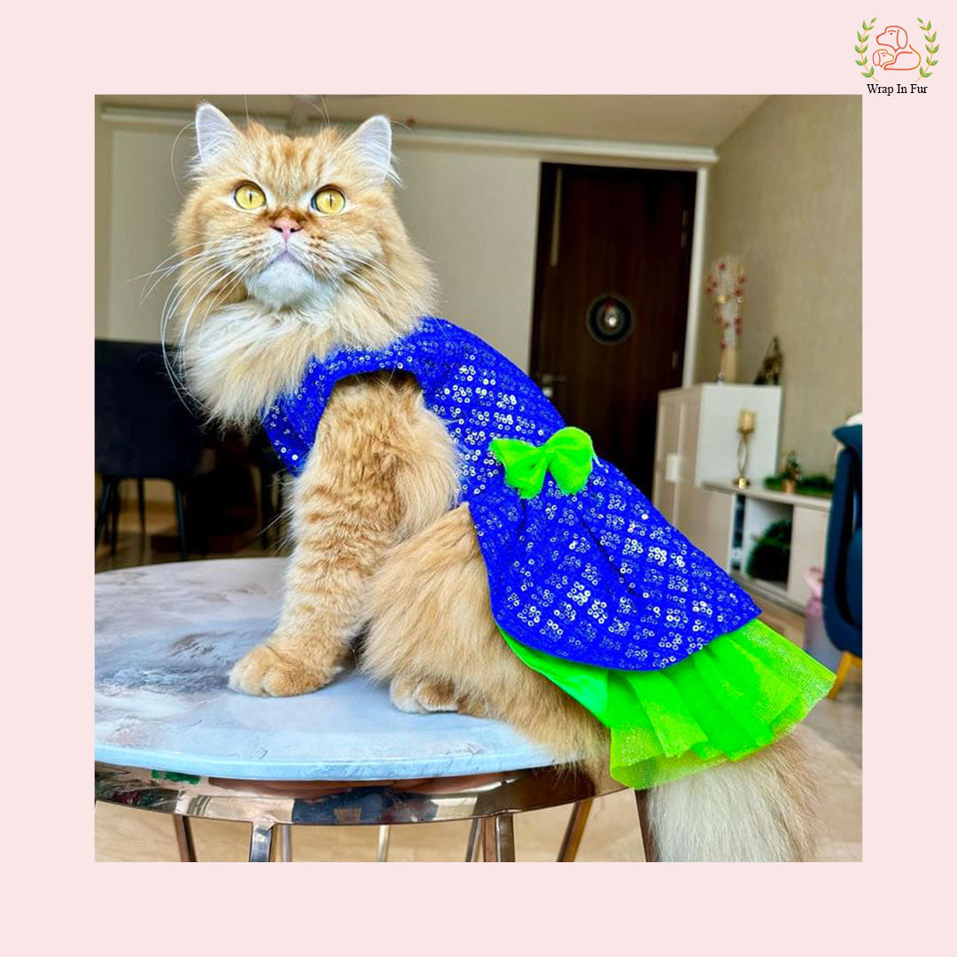 Birthday Blue Green ChakaChak frock for cat and dog
