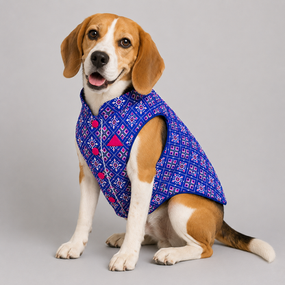 Blue Patola Dog Sherwani