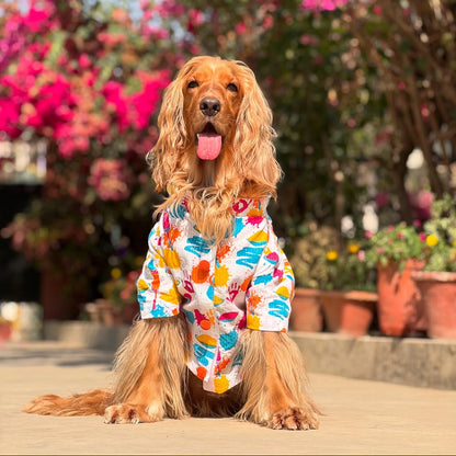 Blue Rangeen Dog Kurta Twinning Set ( Dog kurta along with human kurta )
