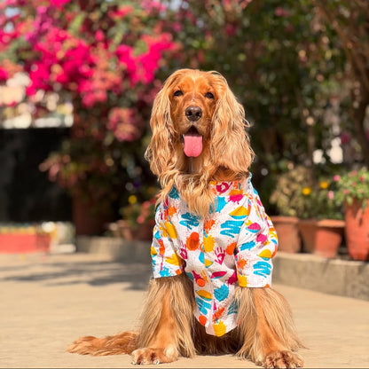 Blue Rangeen Dog Kurta Twinning Set ( Dog kurta along with human kurta )