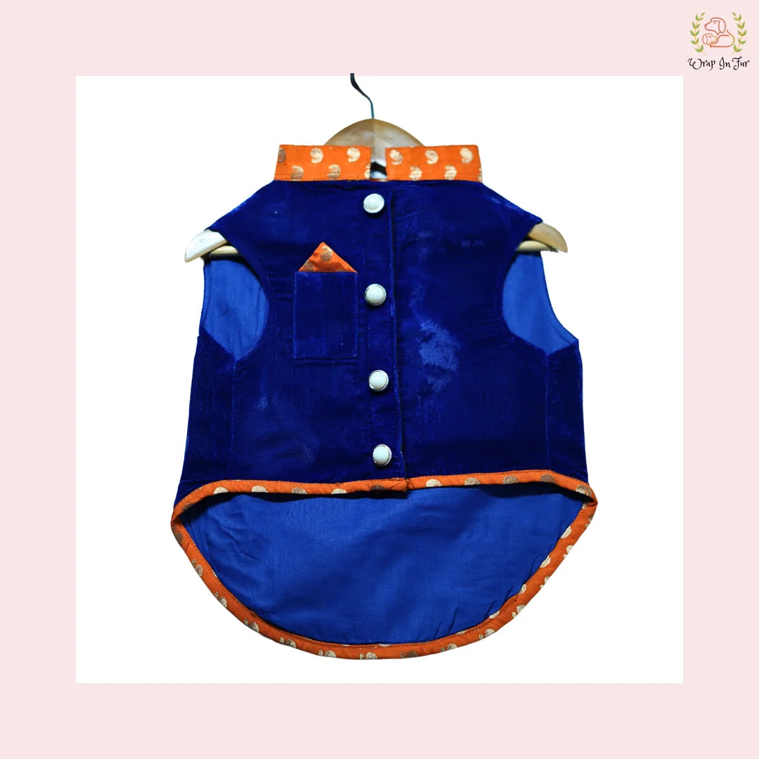 Blue Velvet Maharaja dog Jacket for party and functions