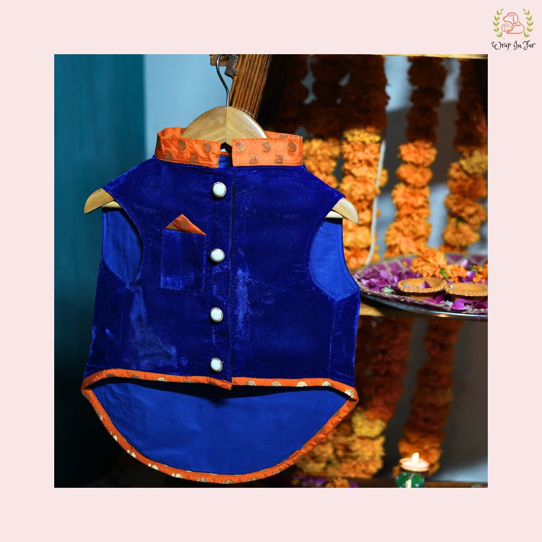 Wedding Blue Velvet Maharaja dog Jacket