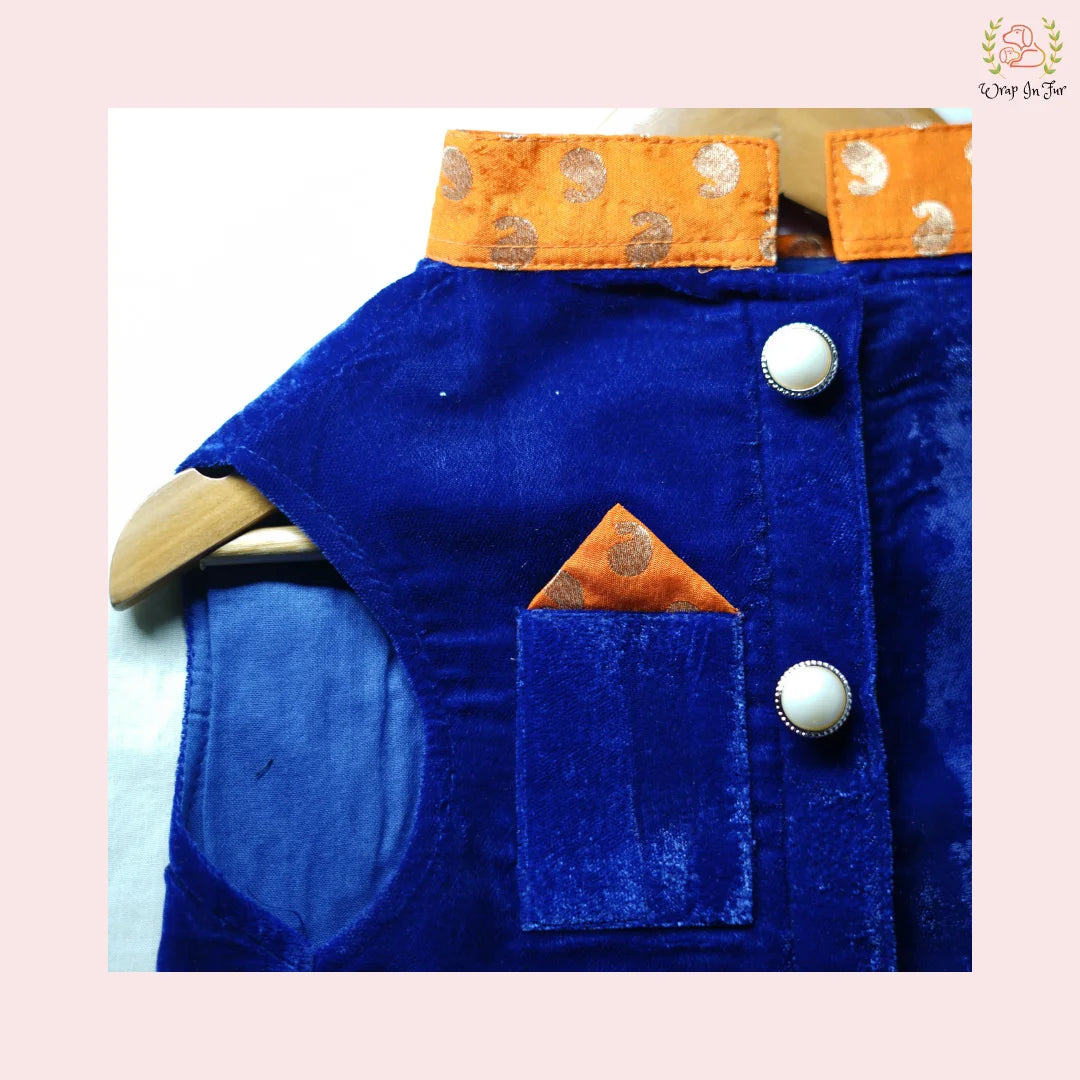 buy Blue Velvet Maharaja dog Jacket for big dog