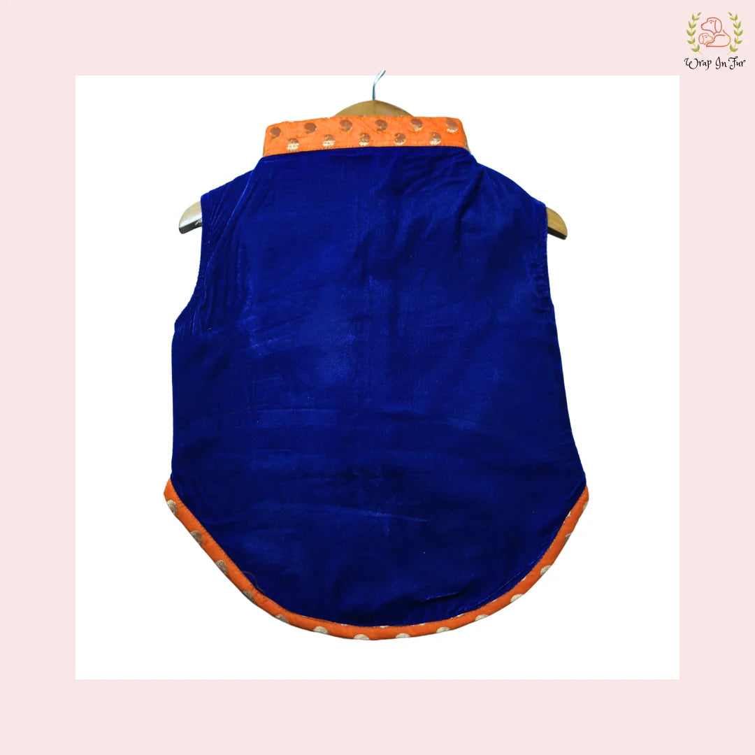 Shop Wedding Blue Velvet Maharaja dog Jacket for small dog