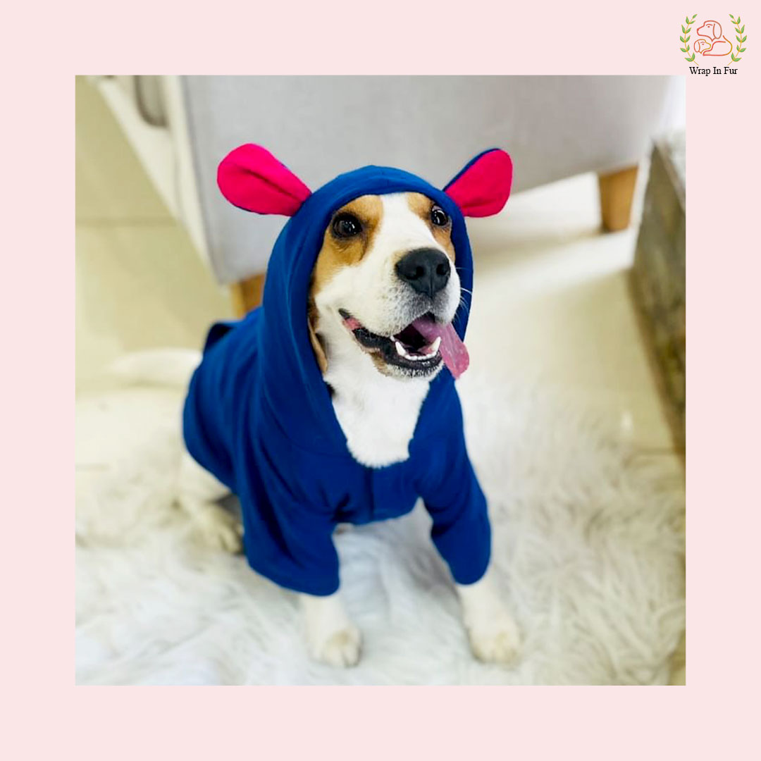 Blue Bunny Ear Dog Hoodie – Warm & Adorable Wear