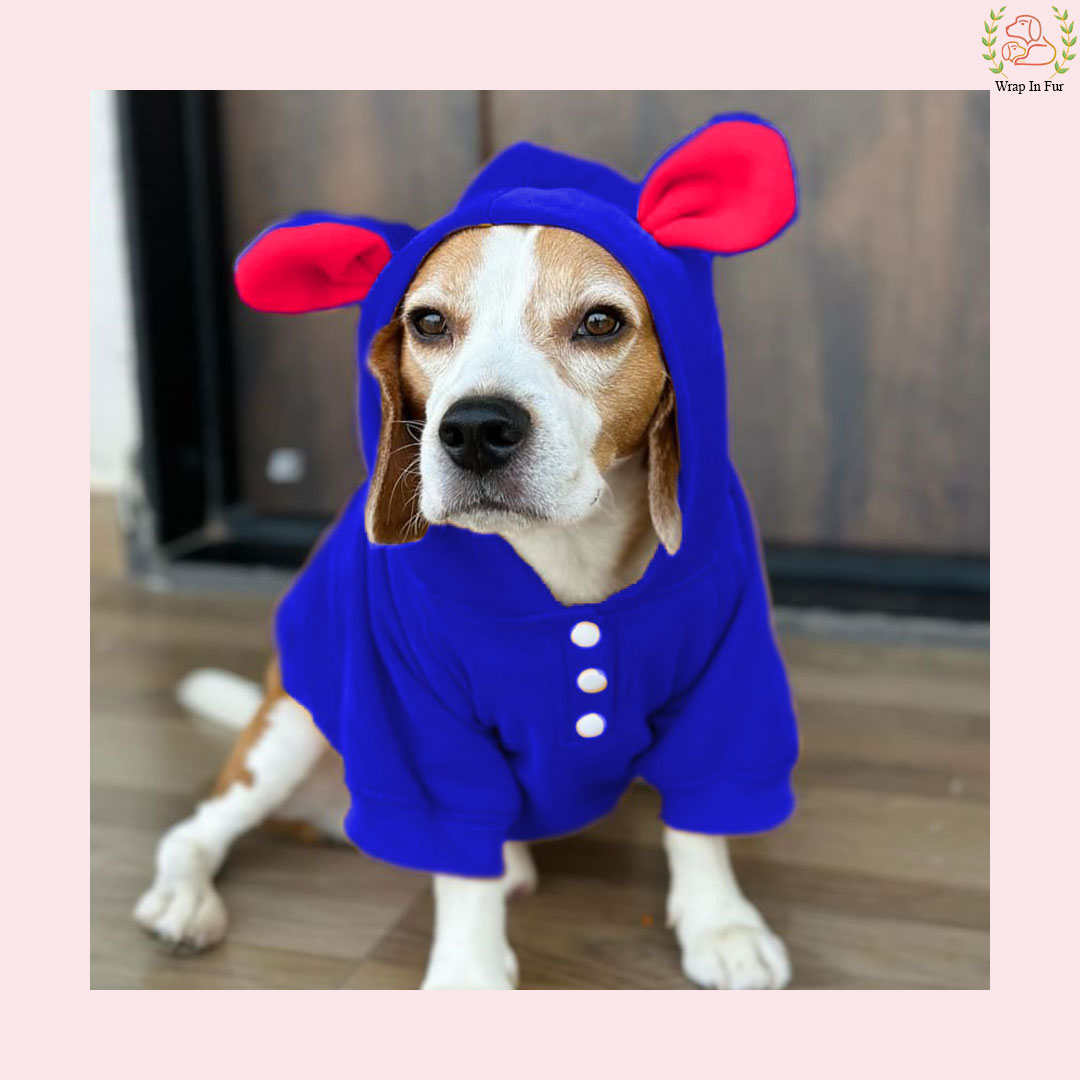 Blue Bunny Ear Dog Hoodie – Warm & Adorable Wear