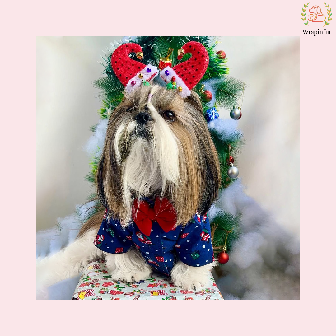 Blue Christmas Dog Shirt – Festive Winter Outfit for Pets