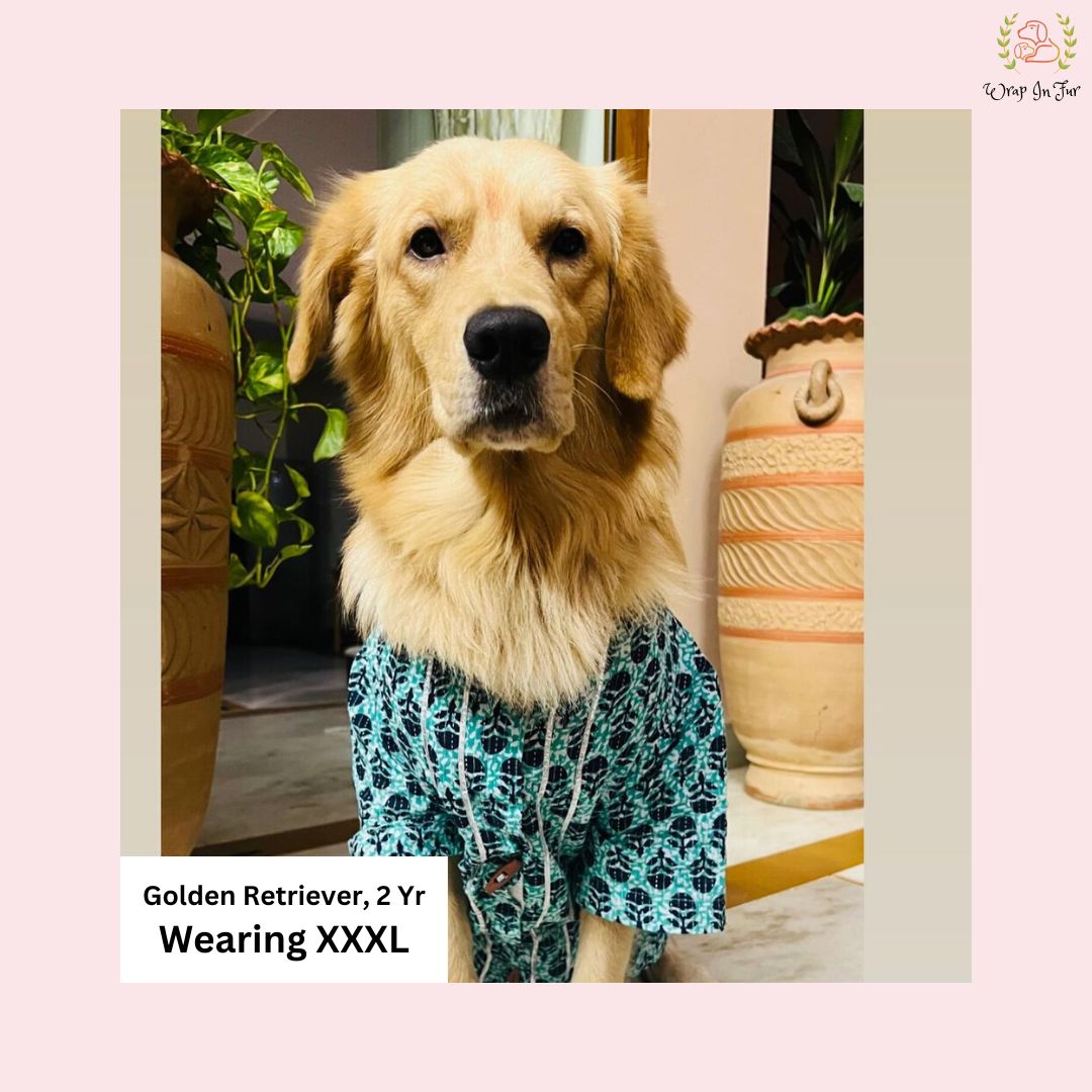 Blue Floral Block Print Dog Kurta - Premium Indian Dog Ethnic Wear