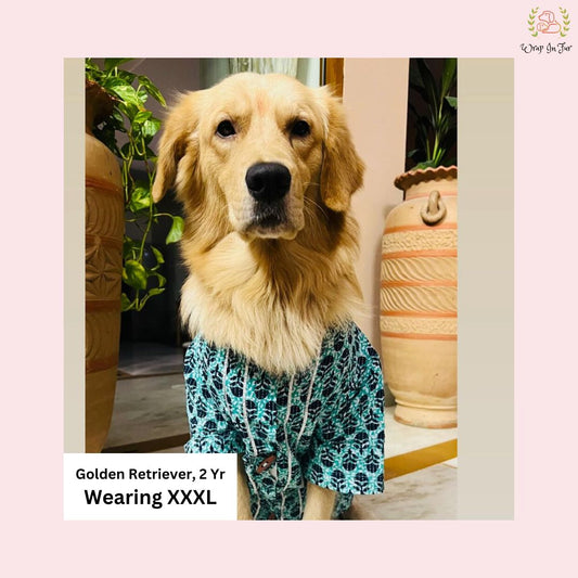 Blue Floral Block Print Dog Kurta - Premium Indian Dog Ethnic Wear
