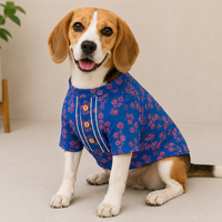 Dog Kurta