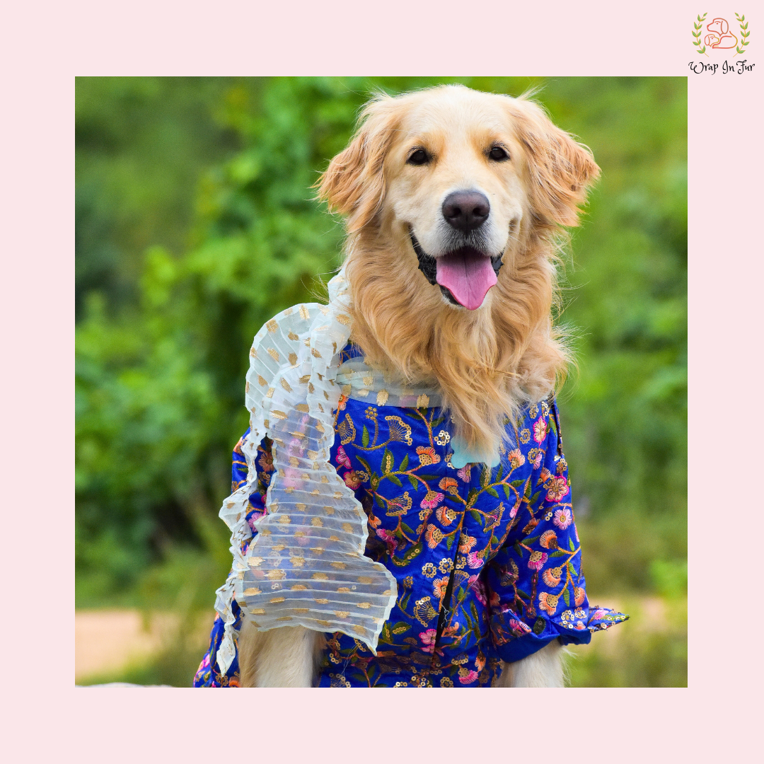 Blue Floral Embroidered Dog Kurta Dress with Dupatta - Indian Dog Ethnic Wear
