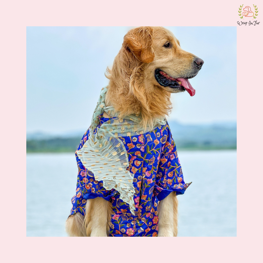 Blue Floral Embroidered Dog Kurta Dress with Dupatta - Indian Dog Ethnic Wear