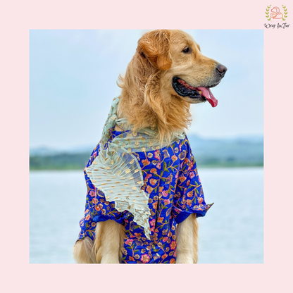 Blue Floral Embroidered Dog Kurta Dress with Dupatta - Indian Dog Ethnic Wear
