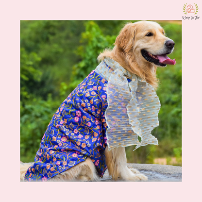 Blue Floral Embroidered Dog Kurta Dress with Dupatta - Indian Dog Ethnic Wear