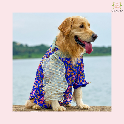 Blue Floral Embroidered Dog Kurta Dress with Dupatta - Indian Dog Ethnic Wear