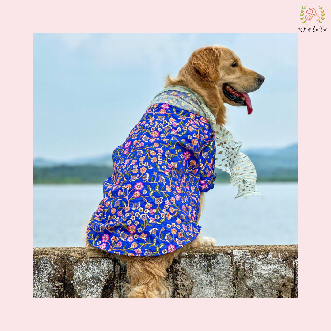 Blue Floral Embroidered Dog Kurta Dress with Dupatta - Indian Dog Ethnic Wear