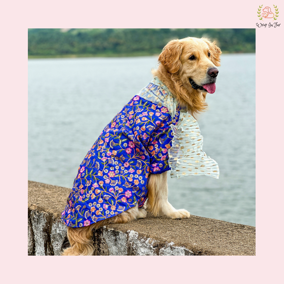 Blue Floral Embroidered Dog Kurta Dress with Dupatta - Indian Dog Ethnic Wear