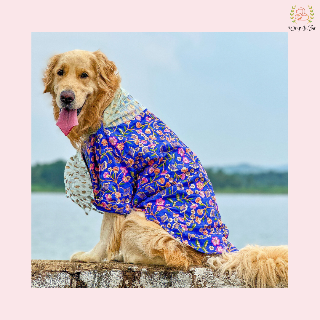Blue Floral Embroidered Dog Kurta Dress with Dupatta - Indian Dog Ethnic Wear