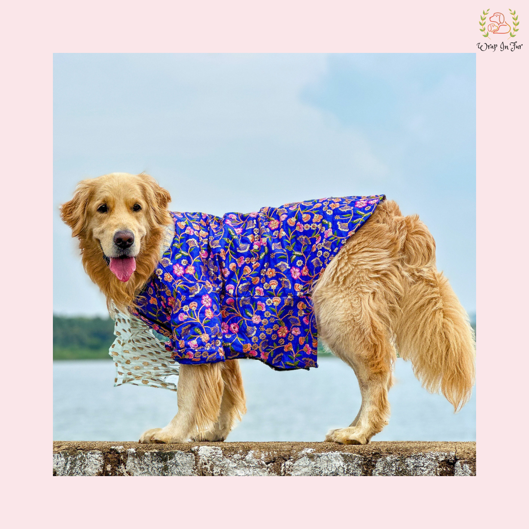 Blue Floral Embroidered Dog Kurta Dress with Dupatta - Indian Dog Ethnic Wear