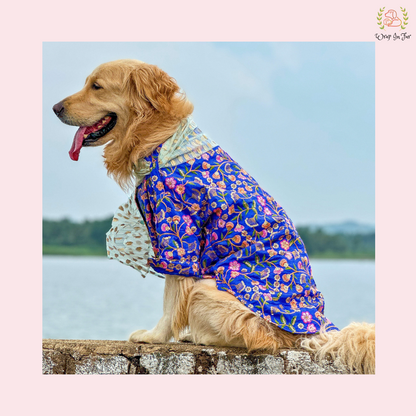 Blue Floral Embroidered Dog Kurta Dress with Dupatta - Indian Dog Ethnic Wear