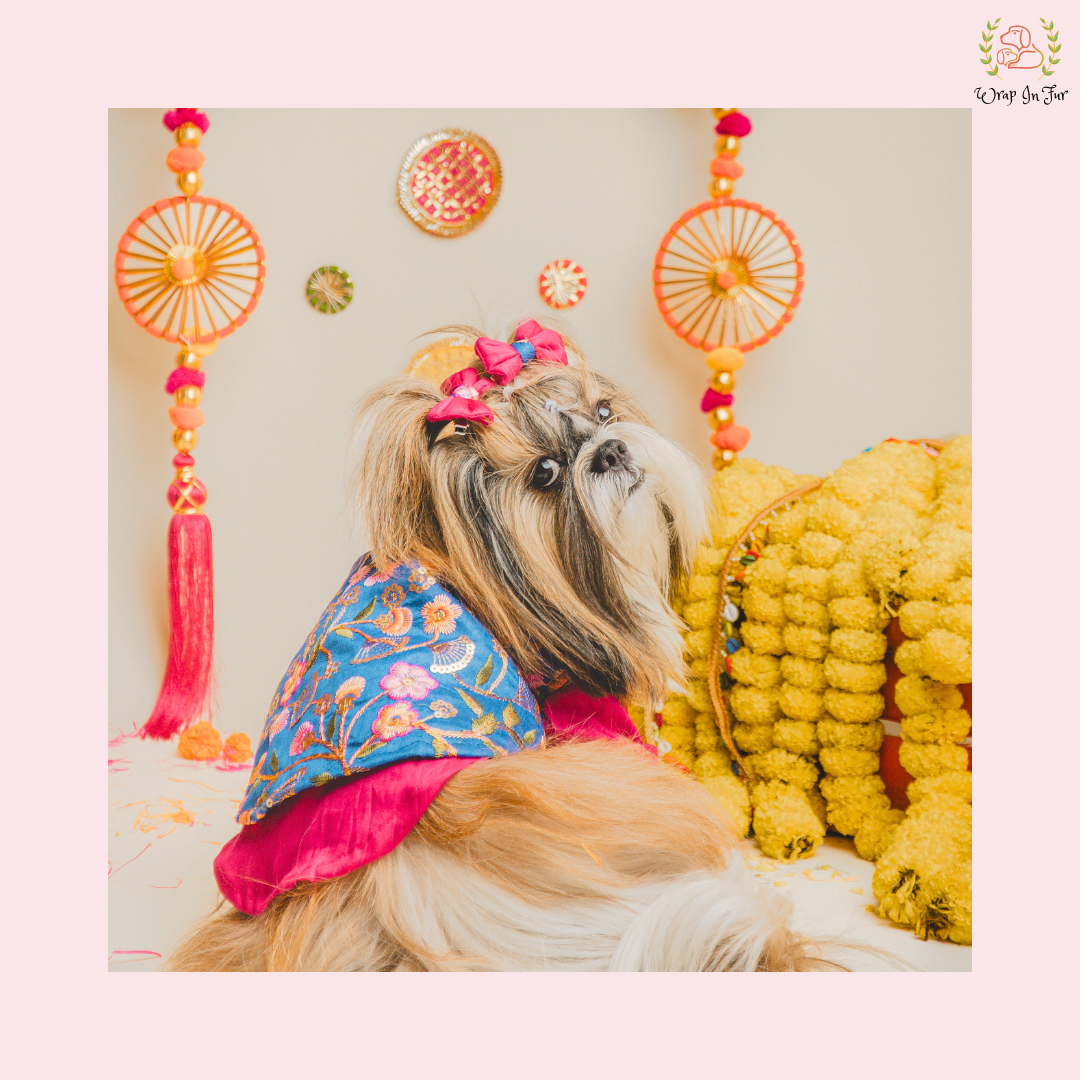 Blue Floral Pink Dog Kurta Jacket Set - Premium Indian Dog Ethnic Wear