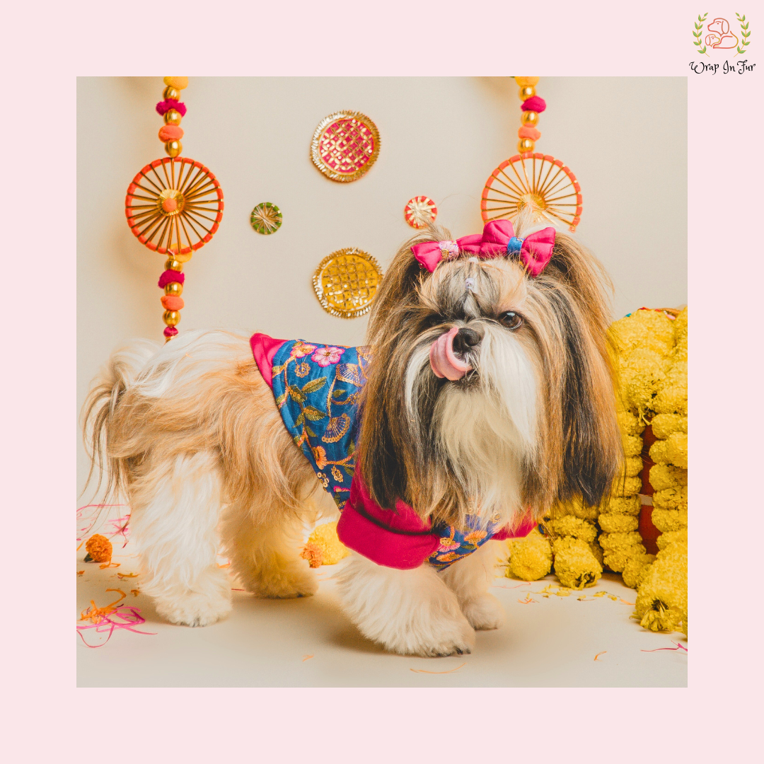 Blue Floral Pink Dog Kurta Jacket Set - Premium Indian Dog Ethnic Wear