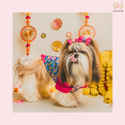 Blue Floral Pink Dog Kurta Jacket Set - Premium Indian Dog Ethnic Wear