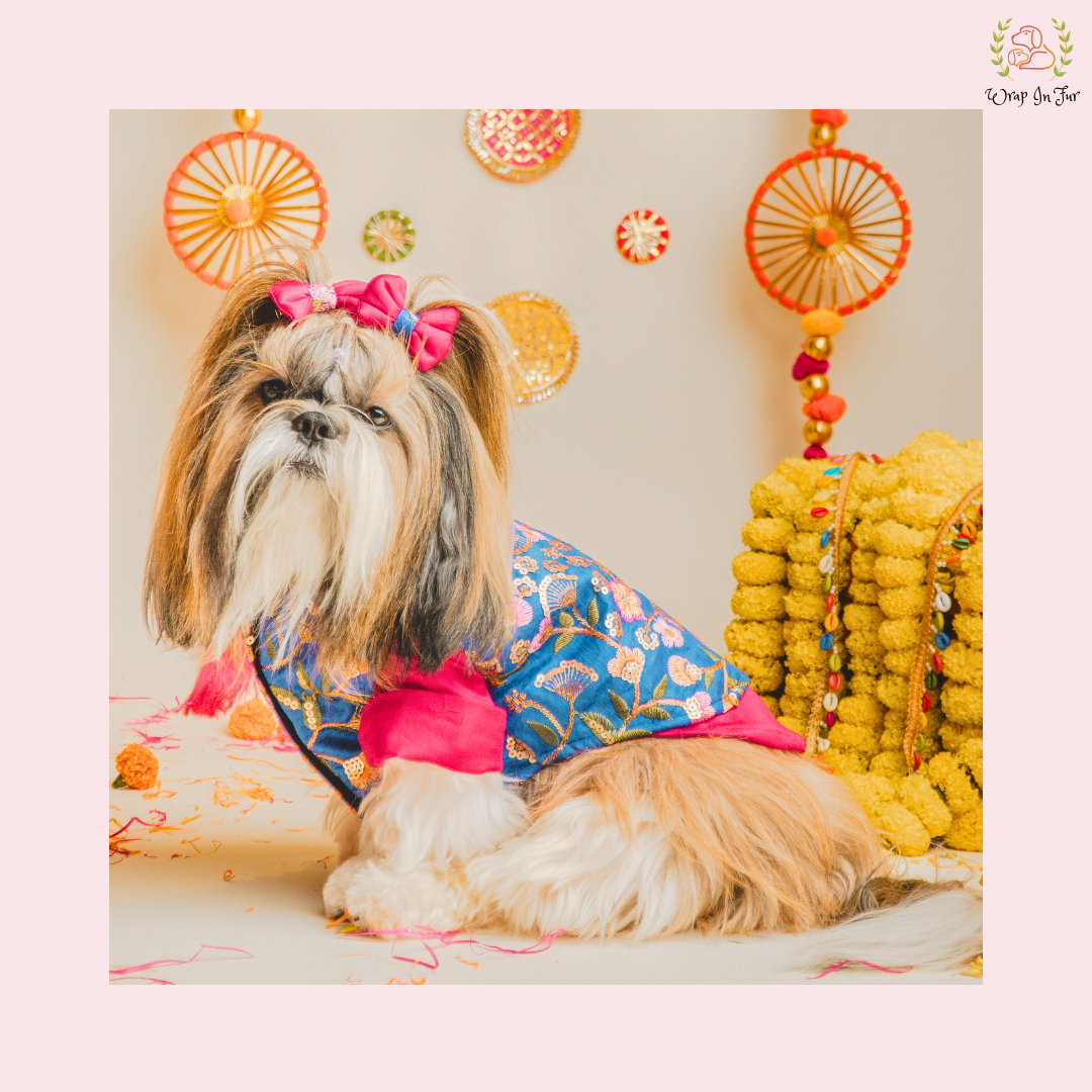 Blue Floral Pink Dog Kurta Jacket Set - Premium Indian Dog Ethnic Wear