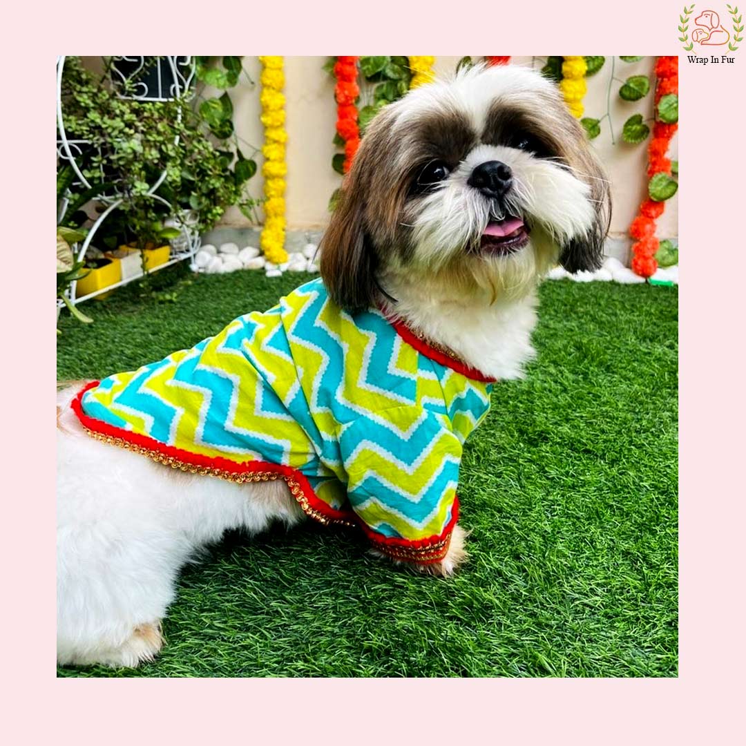 Blue & Green Chevron Dog Angarkha Kurta - Traditional Indian Dog Ethnic Wear