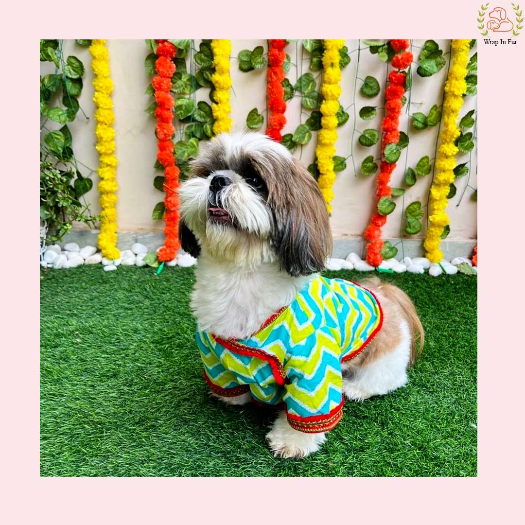 Blue & Green Chevron Dog Angarkha Kurta - Traditional Indian Dog Ethnic Wear