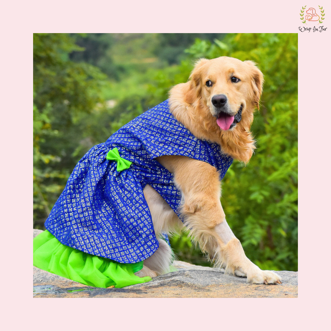 Blue Green Frock Dog Wedding Dress – Princess Bridal Outfit