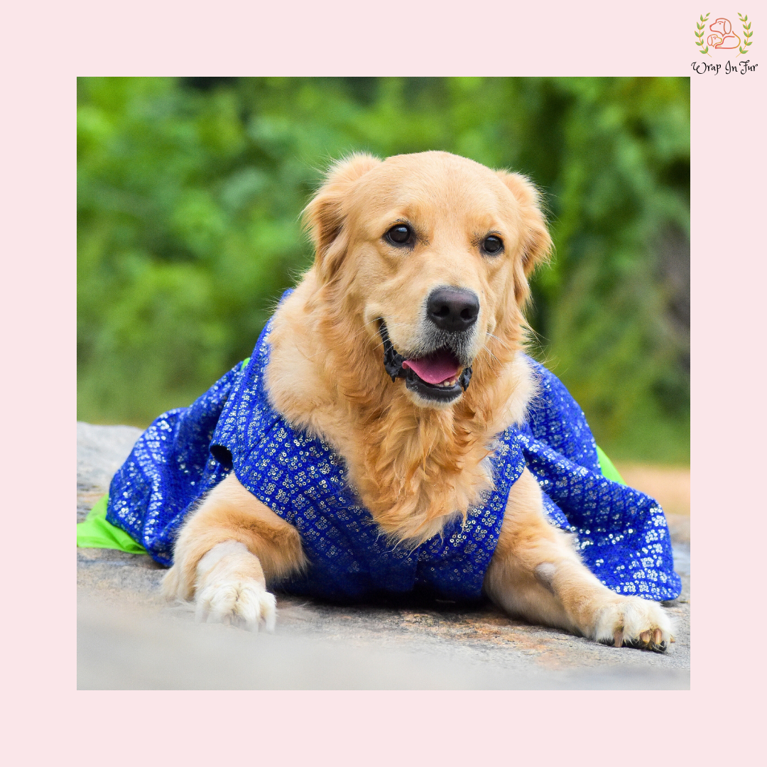 Blue Green Frock Dog Wedding Dress – Princess Bridal Outfit