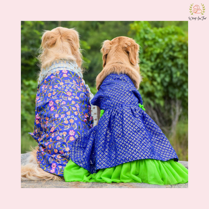 Blue Green Frock Dog Wedding Dress – Princess Bridal Outfit