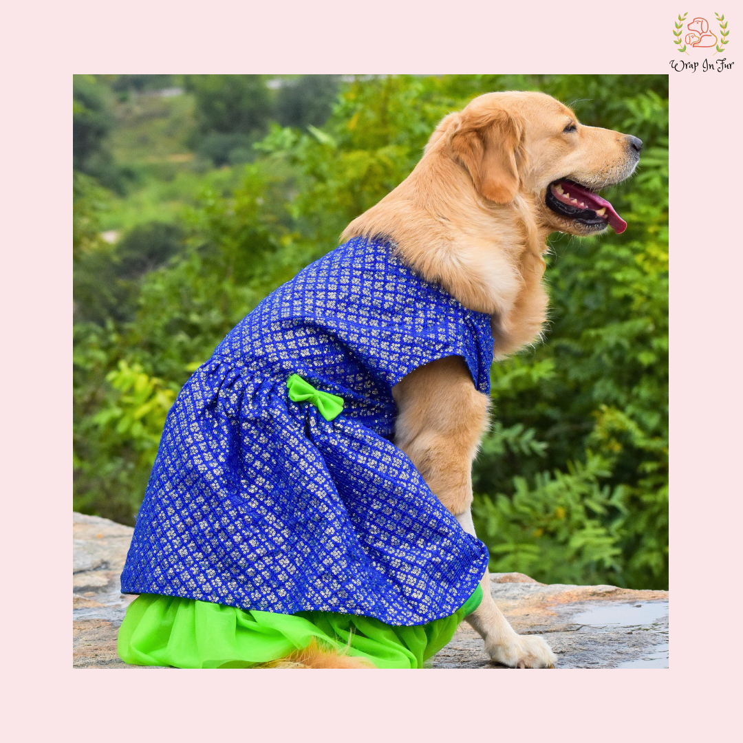 Blue Green Frock Dog Wedding Dress – Princess Bridal Outfit