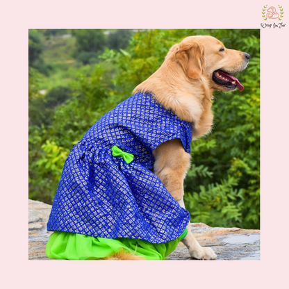Blue Green Frock Dog Wedding Dress – Princess Bridal Outfit