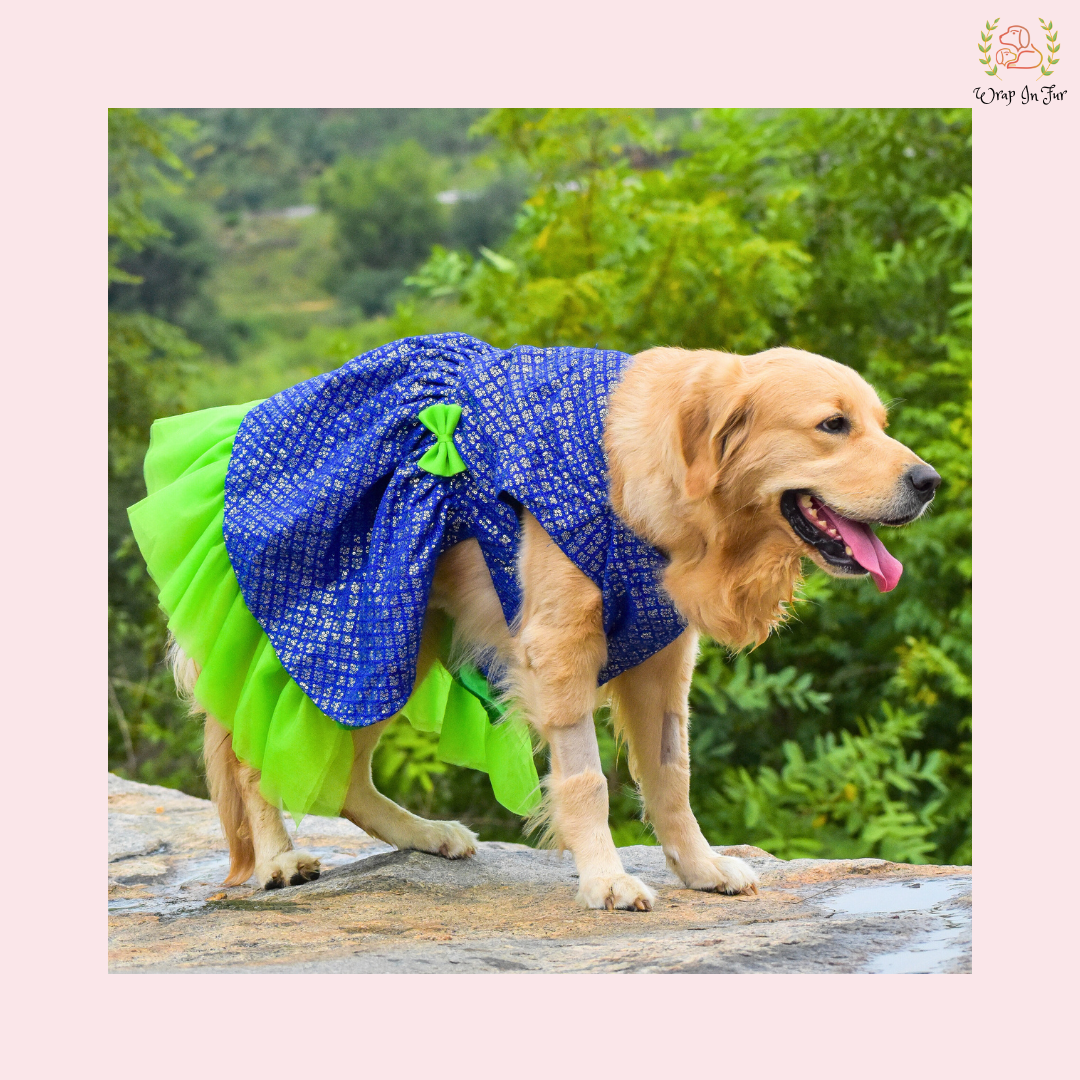 Blue Green Frock Dog Wedding Dress – Princess Bridal Outfit