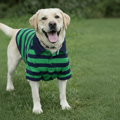 Blue Green Stripe Dog Polo T Shirt