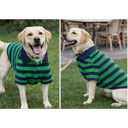 Blue Green Stripe Dog Polo T Shirt