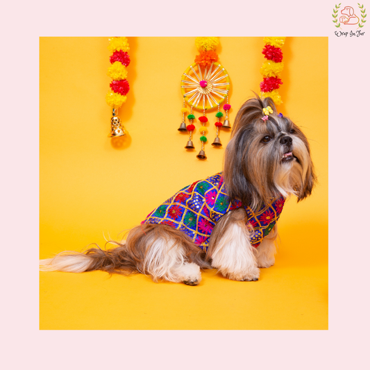 Blue Jhilmil Dog Sherwani