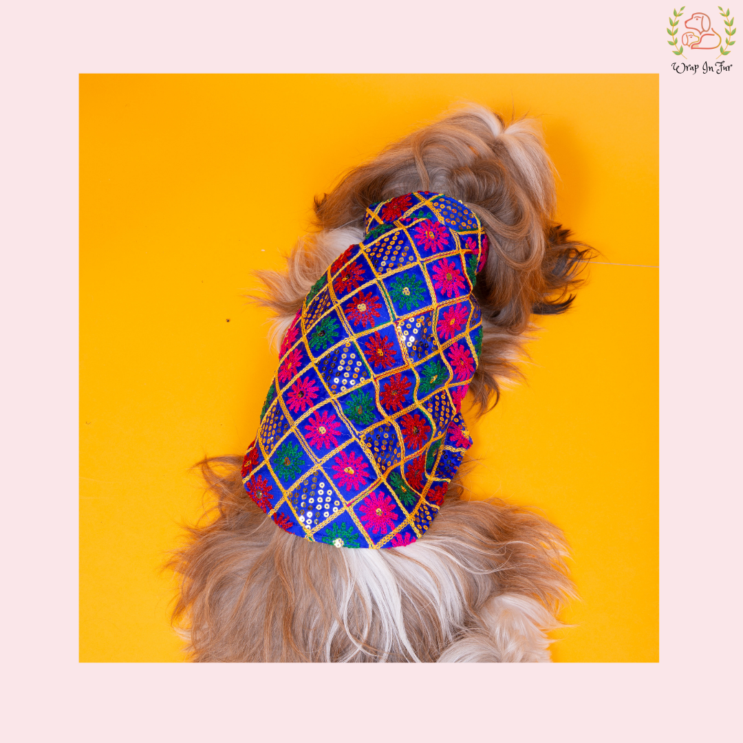 Blue Jhilmil Dog Sherwani