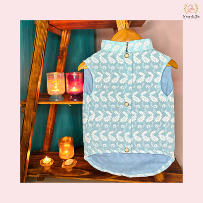 Blue Paisley Embroidered Nawab Dog Kurta