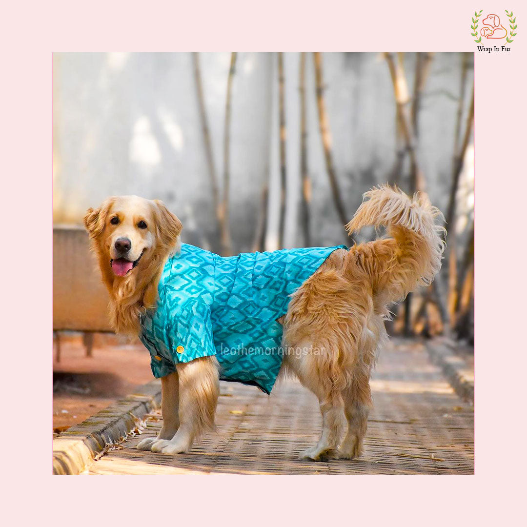 Blue Paradise Dog Kurta - Premium Indian Dog Ethnic Wear