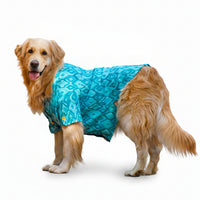 Blue Paradise Dog Kurta - Premium Indian Dog Ethnic Wear